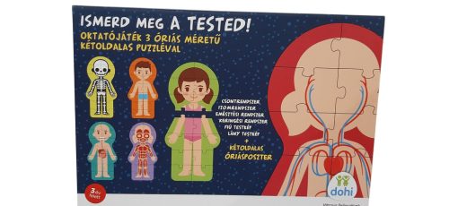 Ismerd meg a tested! – Oktatójáték óriás, kétoldalas puzzle-val