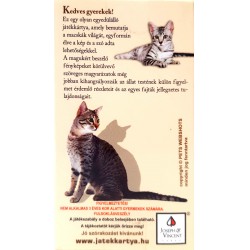 Macskák Játék Kártya