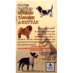 Kutyák Játék Kártya Fiús Játékok